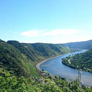 Wein & Wanderlust: Das Zell-Erlebnis