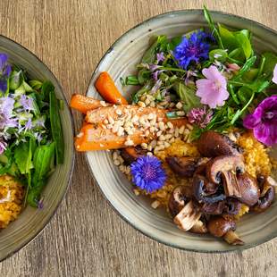 Kochen mit Wildkräutern Kochen mit Wildkräutern