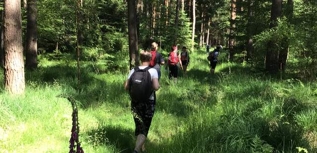 Schlendern ist Luxus Waldbaden - Shinrin Yoku
