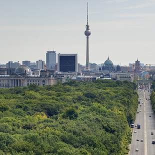 Berlin Panorama - Blick von der Siegessäule auf den Tiergarten