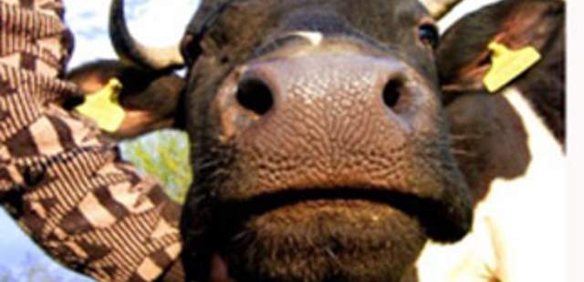 Die Thüringer Bauernolympiade Die Thüringer Bauernolympiade