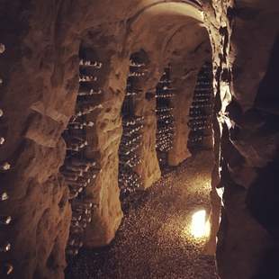 Edle Flaschen Weinreise Piemont