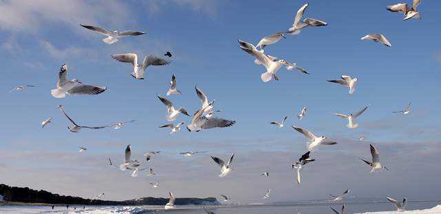 GPS-Abenteuer auf dem Mönchgut GPS-Abenteuer auf dem Mönchgut