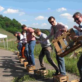 Ein Tag im Weinberg Weingut Weinberg Teambuilding Natur