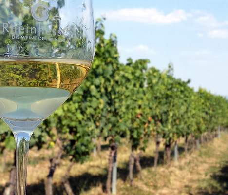 Betriebsausflug in Rheinhessen - Naheland Rheinhessen - Naheland Betriebsausflug