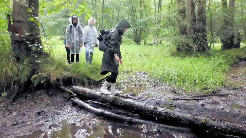 Survival Teamevent im Sachsenwald bei Hamburg