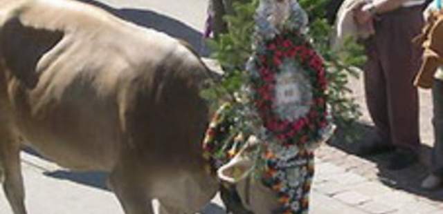 “Zillertaler Bauernherbst” “Zillertaler Bauernherbst”