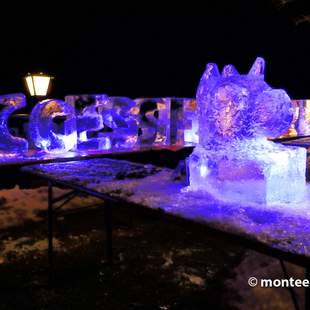 Firmenschriftzug Eisskulptur Eisskulpturen Workshop Team Event