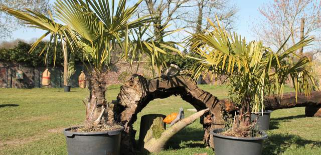 Bogenschießen 3D Bogenschießparcour