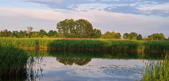 Teamentwicklung in der Natur