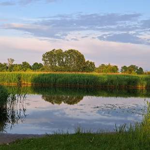 Teamentwicklung in der Natur