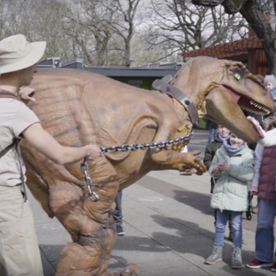 Die Dinosaurier-Show Die Dinosaurier-Show