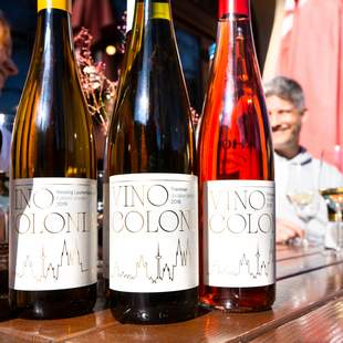 Vino Colonia 3er Weinprobe Vino Colonia