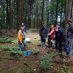 Eine Gruppe von Menschen spielt im Wald Crossgolf