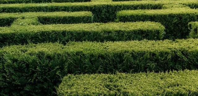 Irrgarten im Spreewald Irrungen und Wirrungen im Spreewald