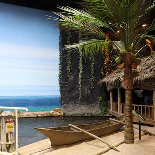 Teambuilding am Strand Golfen um die Welt im Klimahaus Bremerhaven