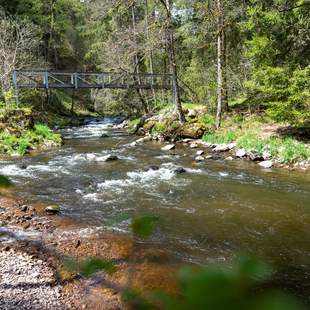Gutachtal Schwarzwald Ritterspiele und Wasserfälle im Schwarzwald