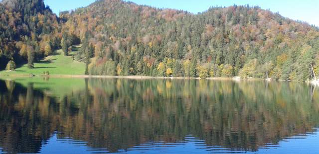 Alatsee Krimiführung am Alatsee "Seegrund"