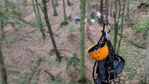 Titelbild Anbieterseite