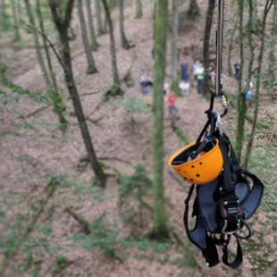 Titelbild Anbieterseite aufBäumen