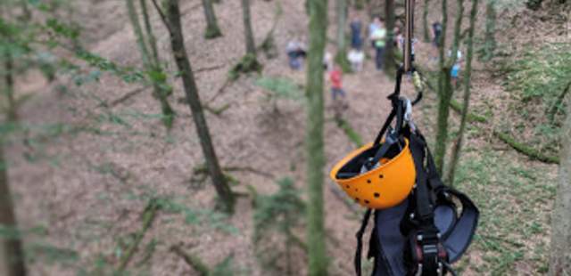 Titelbild Anbieterseite aufBäumen