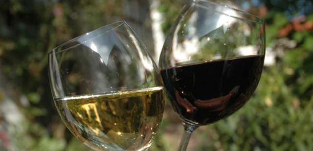 Wein Rallye Pfalz – mit allen Sinnen! Wein Rallye Pfalz – mit allen Sinnen!