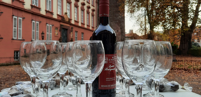 KWS Schloss Erbach Kulinarische Wanderung im Odenwald