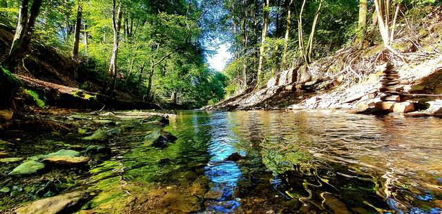 ENTSPANNUNG „Achtsamkeit im Arbeitsalltag“