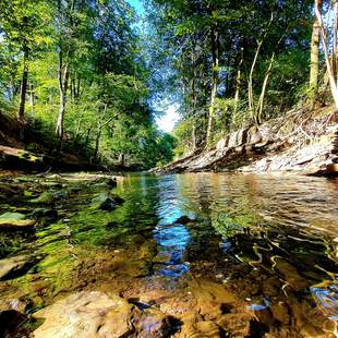 ENTSPANNUNG „Achtsamkeit im Arbeitsalltag“