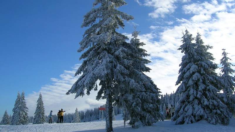Der Schwarzwald im Winter