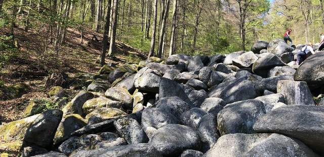 Felsenmeer Expedition im Odenwald Felsenmeer Expedition im Odenwald