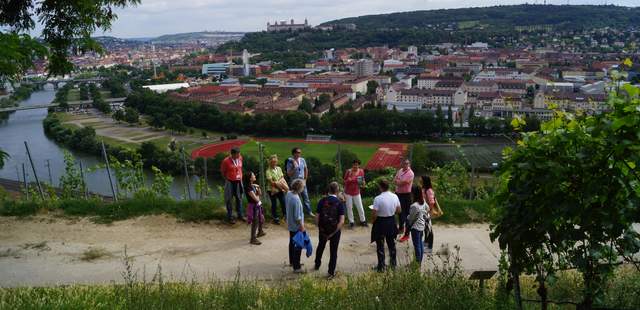 Würzburg, Weinbergwanderung, Weinwanderung Weinbergwanderung: Weinwanderung Würzburg