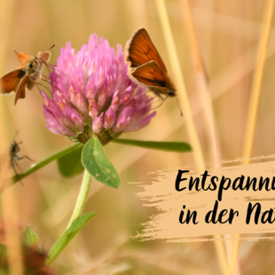 Entspannung in der Natur