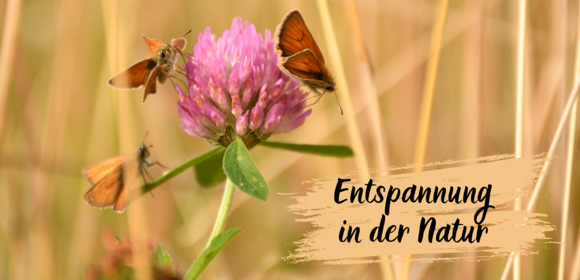 Entspannung in der Natur