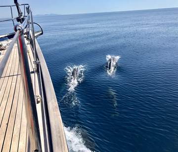 Natur pur. Klassik Yacht 19 Meter im Mittelmeer
