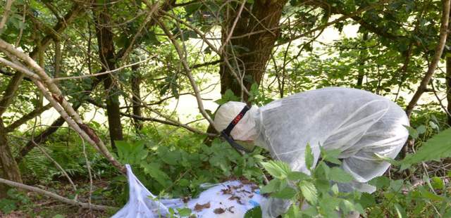 Findet das Nest Findet das Nest