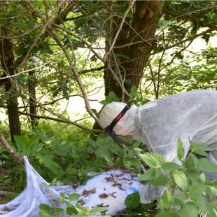 Findet das Nest Findet das Nest