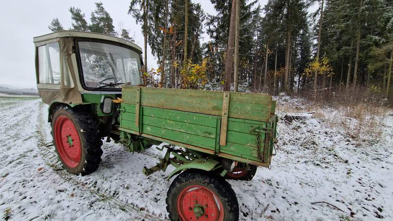 Nachhaltigkeit, Wald, Bäume pflanzen