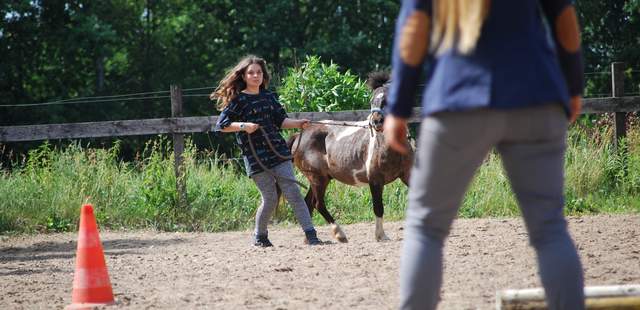 Teamevent mit Pferden Pferde teamtag