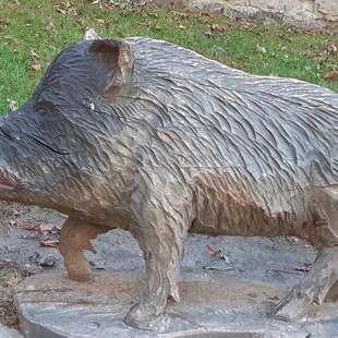 Einfach mal die Sau rauslassen?! Einfach mal die Sau rauslassen?!