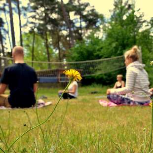 Achtsamkeit, Meditation, Team-Retreat in der Natur Achtsamkeit, Meditation, Team-Retreat in der Natur, Teamreise, Teamprävention