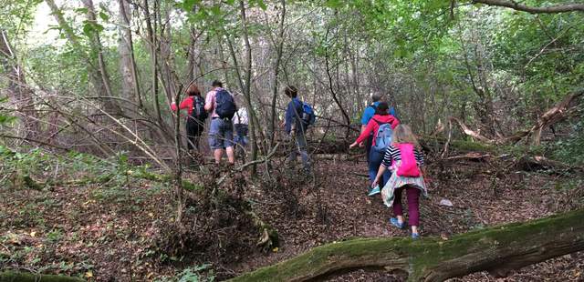 Den Rheinsteig im Team entdecken Den Rheinsteig im Team entdecken