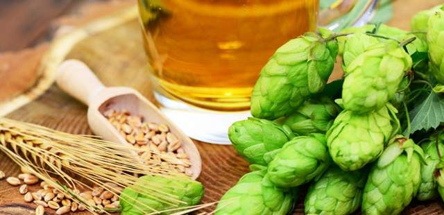 Zutaten Bierbrauen Die Bierbrauer