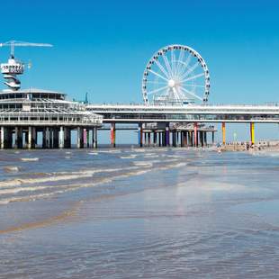 Team-Highlight mit Stadtführung in Den Haag Team-Highlight mit Stadtführung in Den Haag