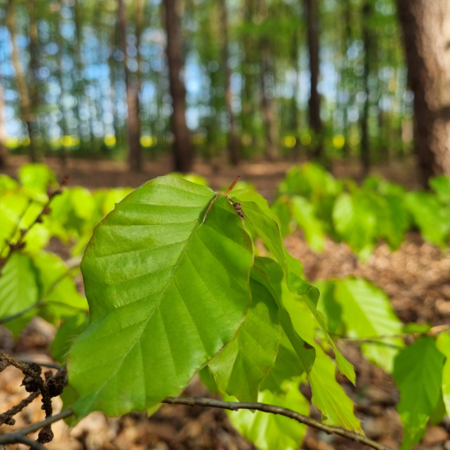 Entspannung in der Natur