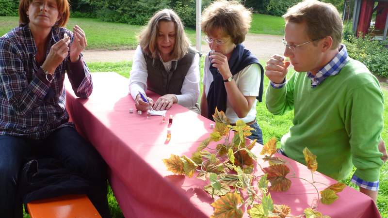 Weingutfest - Im Rheingau und Rheinhessen