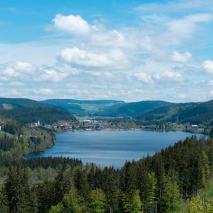 Aussicht auf den Titisee Aktiv im Team: Natur pur im Hochschwarzwald