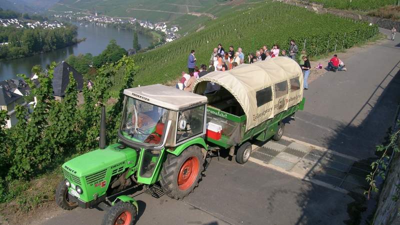 Wine & Work: Tagen an der Mosel-Treis-Karden