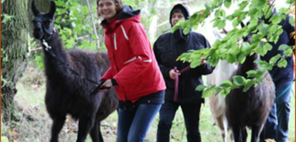 Mit dem Lama ab in die Natur!