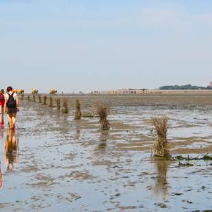 Blick auf Neuwerk Wattwanderung Neuwerk - inklusive Bahnfahrt